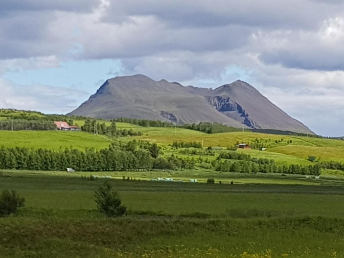 Adorable Cosy And Private New Cabin In The South Hvolsvöllur Eksteriør bilde