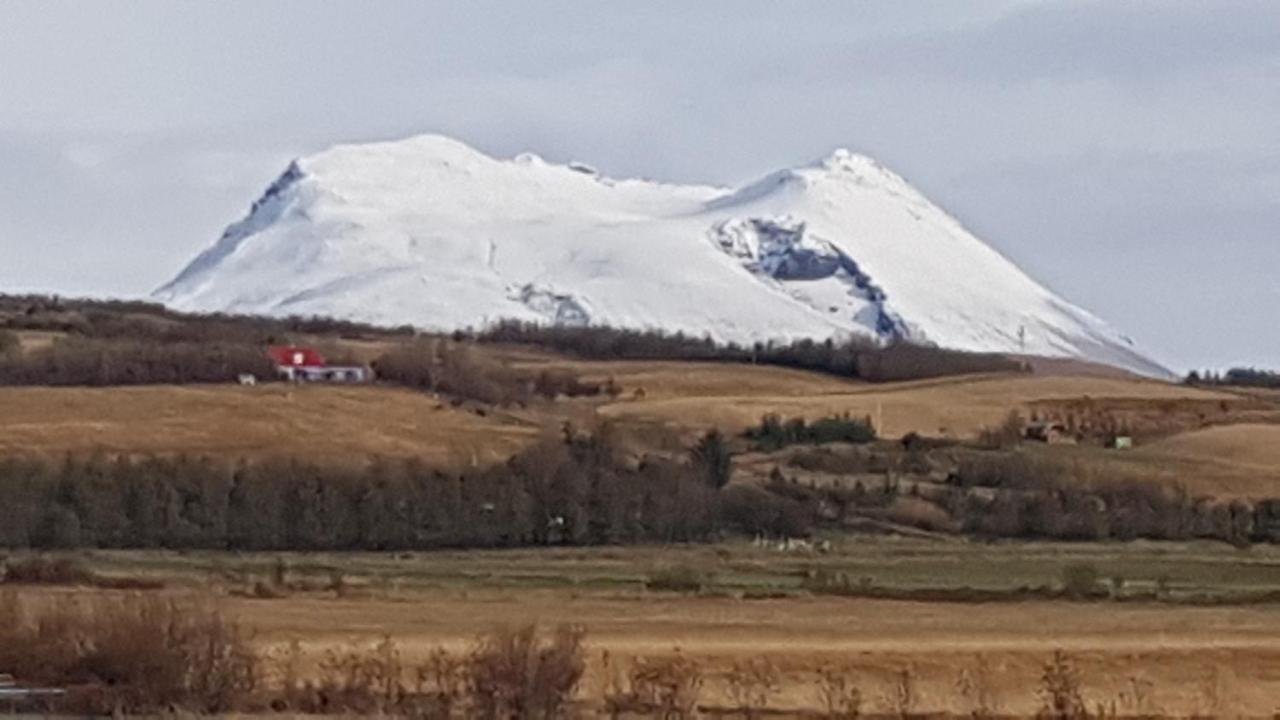 Adorable Cosy And Private New Cabin In The South Hvolsvöllur Eksteriør bilde